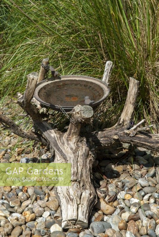Rustic bird bath created from old metal dish attached to a piece of dead tree trunk - Open Gardens Day, Wingfield, Suffolk