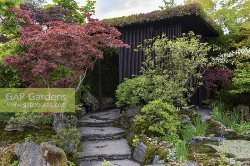 A Hanare building overlooks a garden planted with maples, pines and Enkianthus campanulatus in which visitors can reconnect with nature and reflect, calmed by the presence of water.