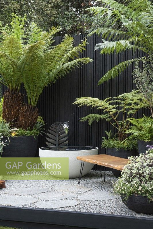 A courtyard inspired by New Zealand, with handmade pots filled with native plants and tree ferns. A bespoke water feature is fed by a silver fern, NZ's national symbol.