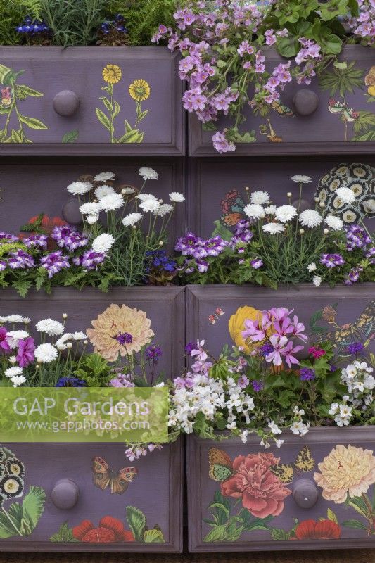 An old wooden chest of drawers is painted and planted with summer annuals.