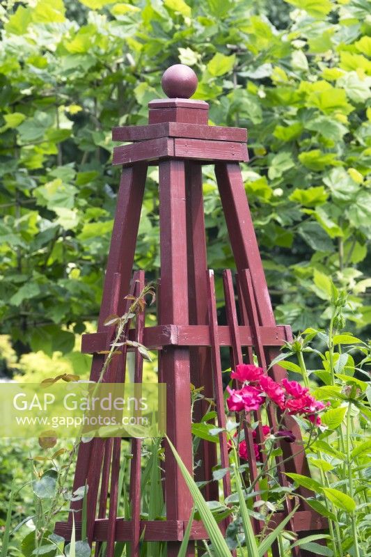 Classic red painted wooden tripod with Munstead Wood rose.