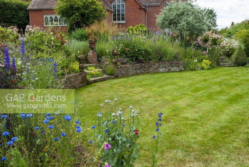 Lawn with surrounding raised borders of perennial plants, trees and steps up to old school building now converted to a home - Open Gardens Day, Tuddenham, Suffolk