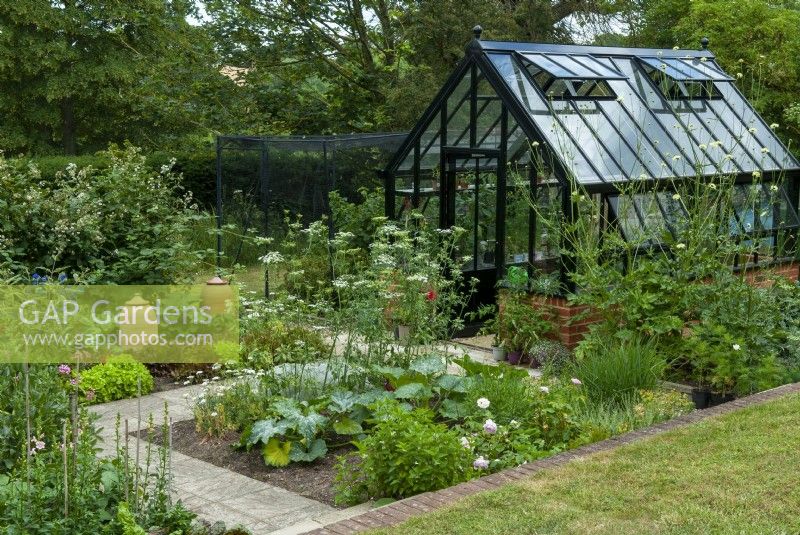 Modern greenhouse with vegetable plots, fruit cage, forcing  pots and slab paths in sunken area below law - Open Gardens Day, Tuddenham, Suffolk