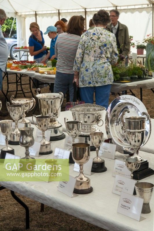 Winners' trophies ready for prizegiving at Orford Flower Show, Suffolk