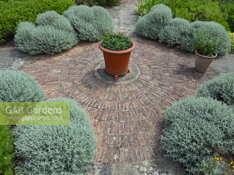 Formal Herb garden with circular brickwork July Summer