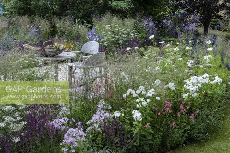 A table and chairs is cocooned in loose meadow style border planting of Deschampsia cespitosa 'Goldschleier' and herbaceous perennials: phlox, campanula, salvia, cosmos, eryngium, thalictrum and airy Baltic parsley, Cenolophium denudatum.