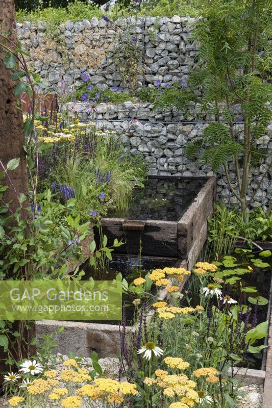 A wildlife friendly, sustainable city space with natural stone gabion walls, reclaimed timber pools, and borders of grasses and nectar rich flowers.