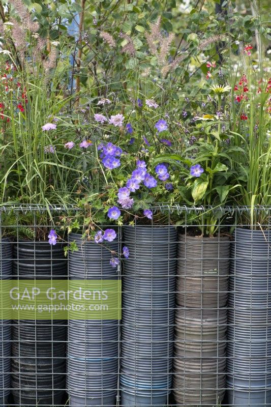 A low boundary is created from metal gabions filled with plastic plant pots, a clever way of upcycling waste plastic. The topmost pots are planted with grasses and flowering perennials