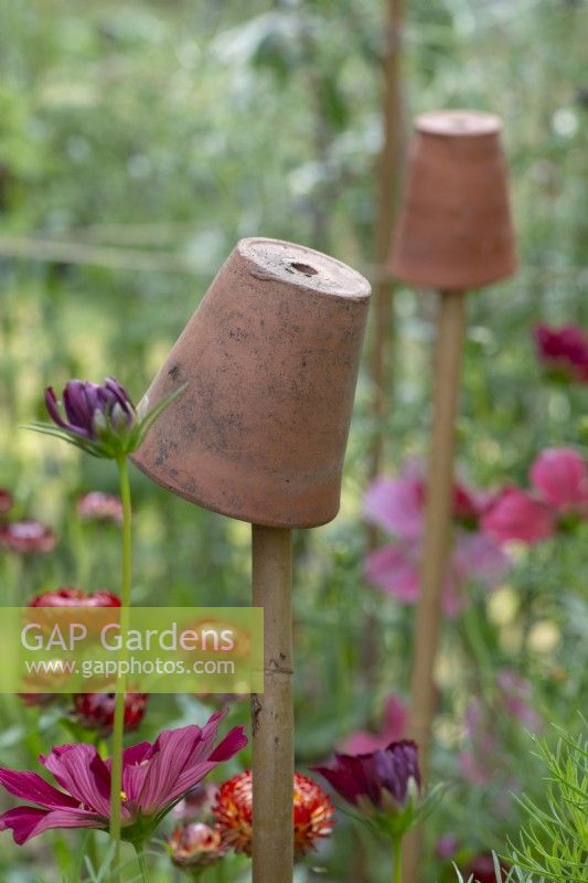 Small terracotta pots make good cane toppers.