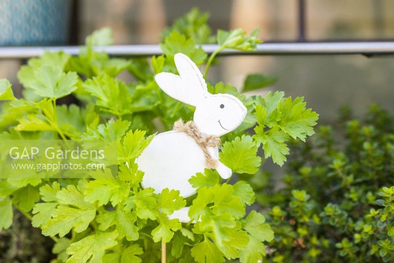 Wooden easter bunny cutout among parsley