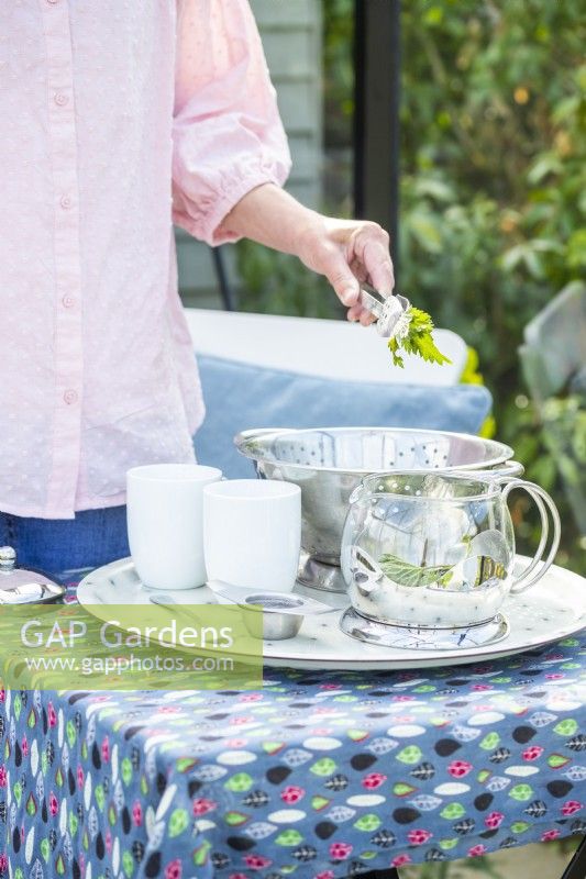 Woman placing stinging nettles in glass teapot