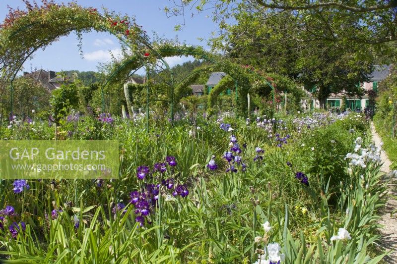 Giverny, France - Monet's Garden - Rose Archways amidst Irises and perennial borders -  May 2023