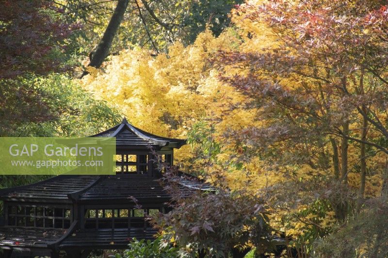 Pagoda in the Four Seasons Garden - West Midlands - October