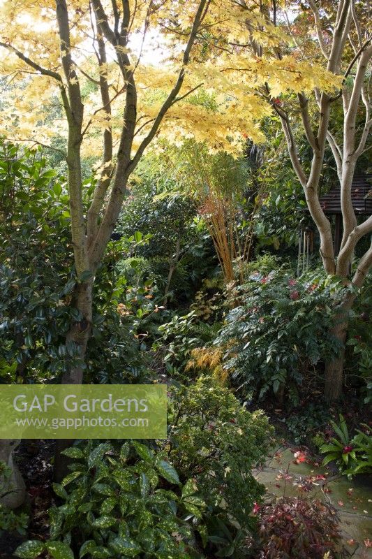 Four Seasons Garden - West Midlands - October