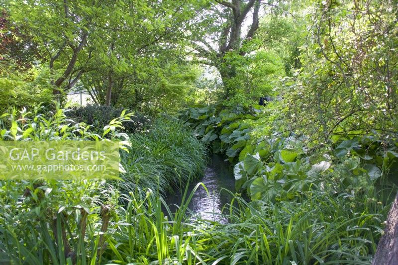 Giverny, France - Monet's Garden - The Stream - May 2023