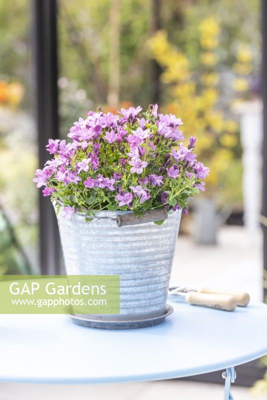 Blue metal table and chair set with bucket of purple flowers and a hot drink outside of greenhouse