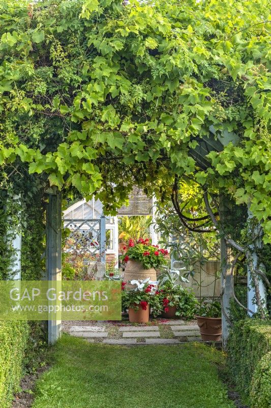 View of a Mediterranean style garden with a grouping of flower filled terracotta pots in late Summer - September