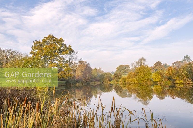 View across a lake to mixed trees in Autumn colour in an informal country garden - November 