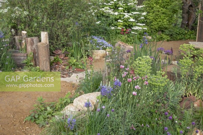 Perennials and annuals in The Wildlife Trusts: Wilder Spaces garden at RHS Malvern Spring Festival 2023