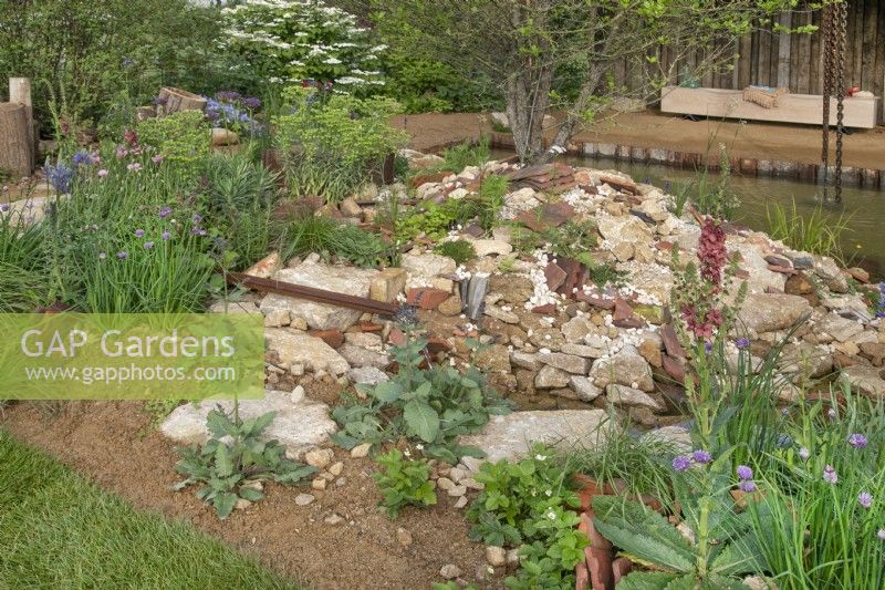 Rubble surrounded by wildflowers in The Wildlife Trusts: Wilder Spaces garden at RHS Malvern Spring Festival 2023