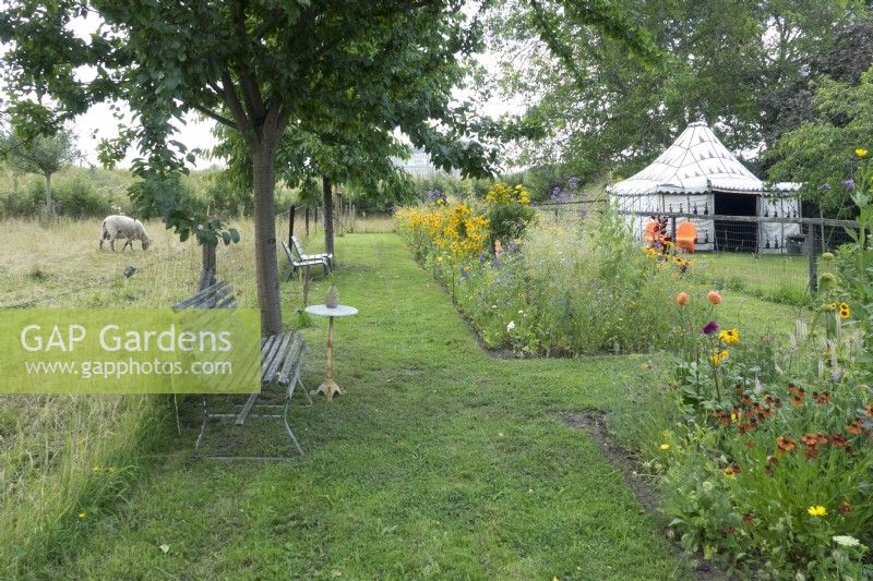 Long wild flower border near classic table and bench. Sheeps in the orchard. Arabic tent in the garden.