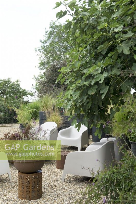 Terrace with gravel surface and seat area. Container on decorated rustic iron table. Large fig tree and containers planted with several grasses.