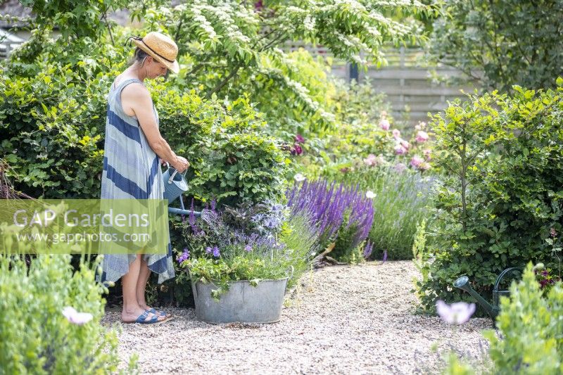 Woman watering mixed container