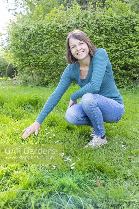 Woman touching long grass with Bellis - Daisies - no mow May
