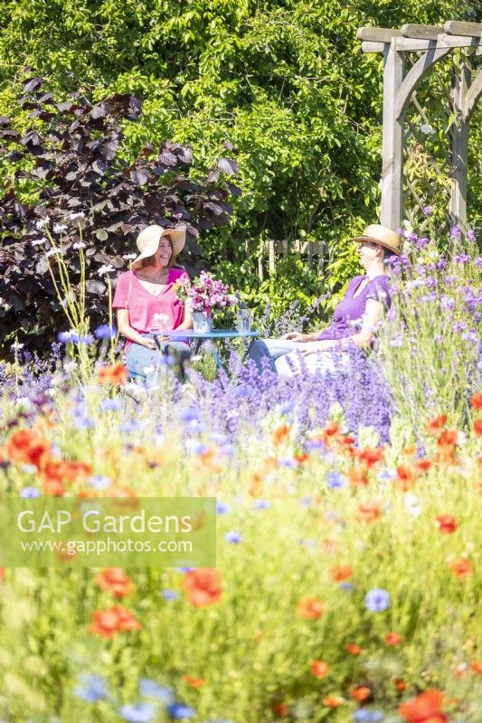 Women sat at table chatting in garden beyond flowers