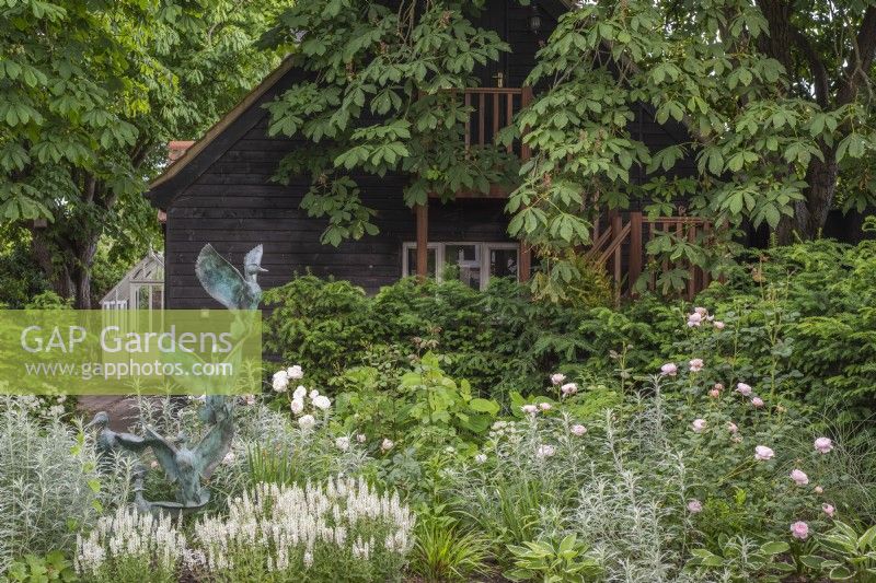 White border in front of black barn with Wild duck metal verdigris sculpture .  Plants inc: Salvia sylvestris 'Schneehugel', Rosa 'Desdemona' and 'Queen of Sweden'; Artemisia 'Valerie Finnis' and Hosta 'Francee'