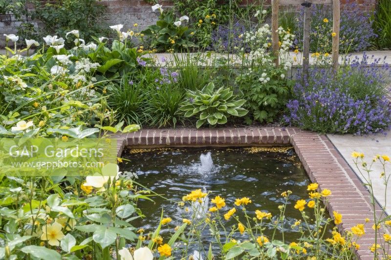 Small rectangular brick lined pool with bubble fountains and yellow and white planting scheme - Geums; Hostas; Astrantia and roses