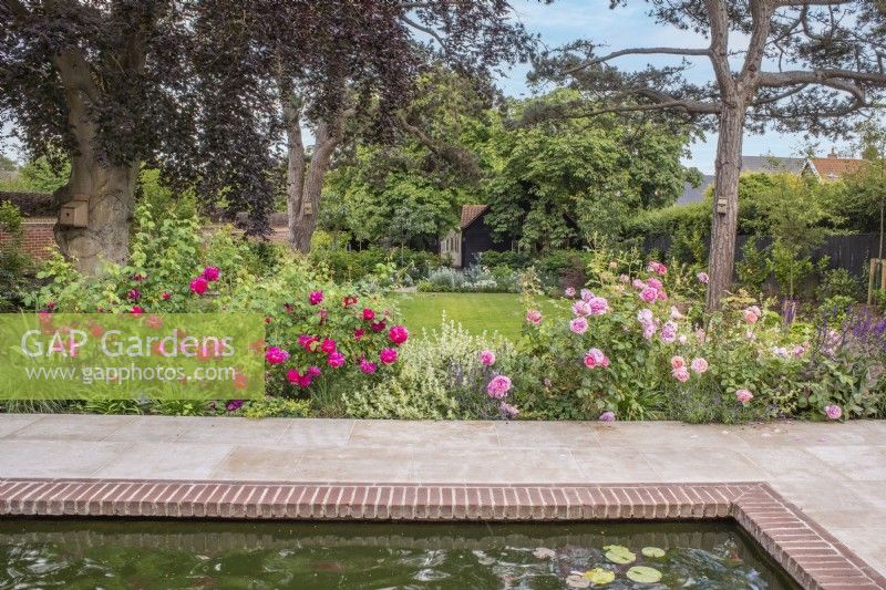 View across sandstone terrace with pool and border with David Austin roses, Ballota and Lavender to lawn and white garden