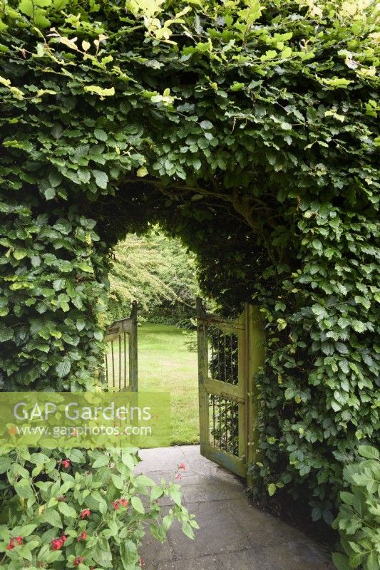 Decorative gate in a beech hedge