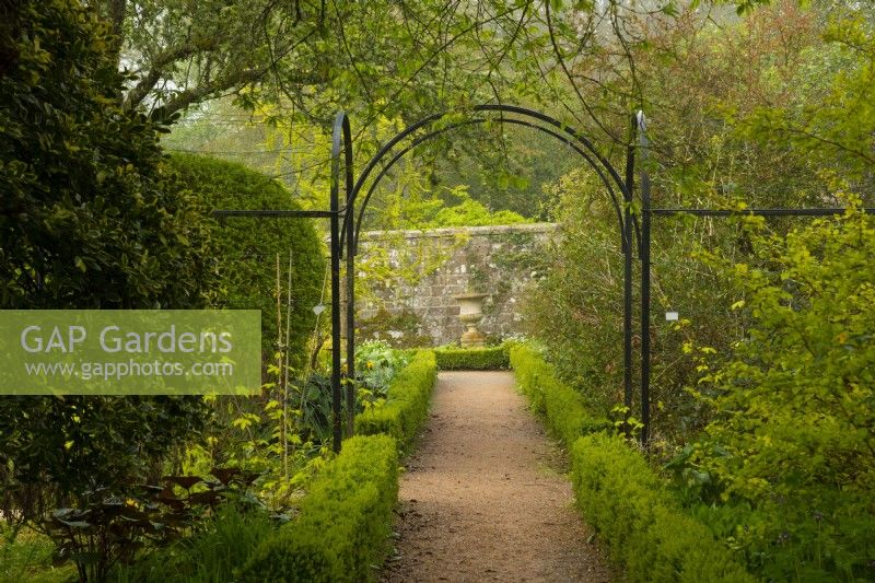 A pathway under a metal arch bordered  by Taxus baccata hedge leading to a stone urn in the Crathes Castle Walled Garden.