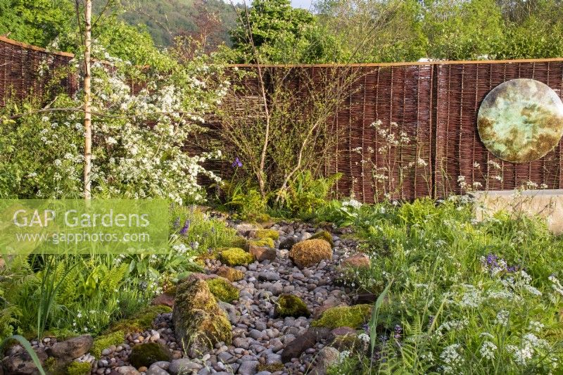 Stream bed and wildflowers - RHS Malvern Spring Festival 2023 - Greener Gloucestershire NHS Garden  - Designer Laura Ashton-Phillips