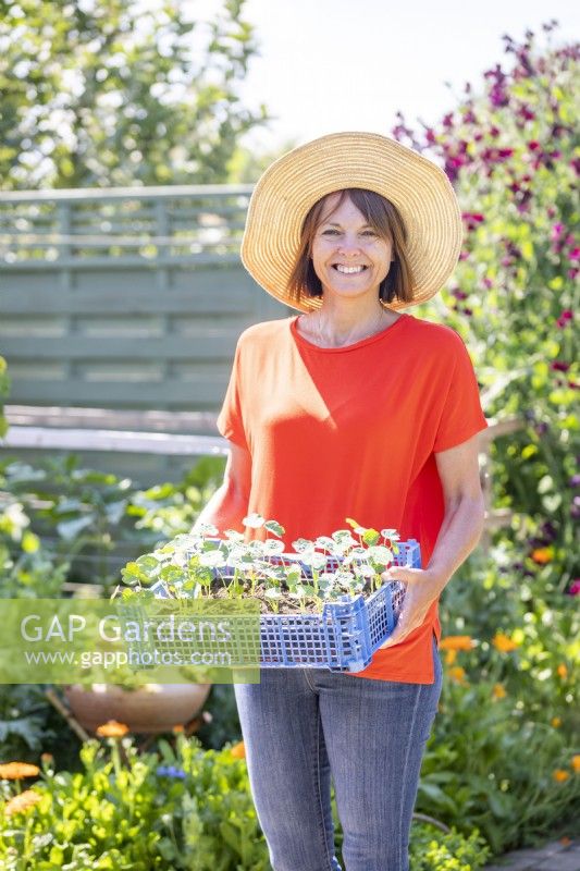 Woman carrying a plastic tray containing Nasturtiums