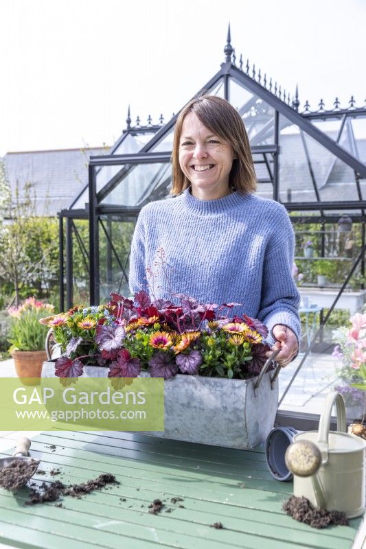 Woman holding metal trough planted with Osteospermum and Heuchera