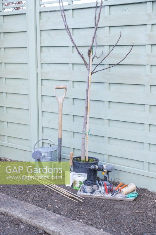 Ficus tree, watering can, digging fork, trowel, drill, bamboo canes, wire, eyelet screws, , ferrules, tensioners, pliers, pencil, tape measure, secateurs, string, scissors and rootgrow laid out on the ground