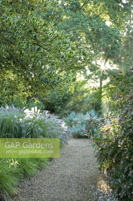View along gravel path next to bed of ornamental grasses at Knoll Gardens in Dorset