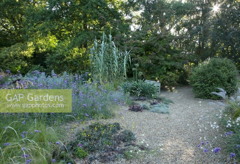 The Gravel Garden at Knoll Gardens in Dorset.