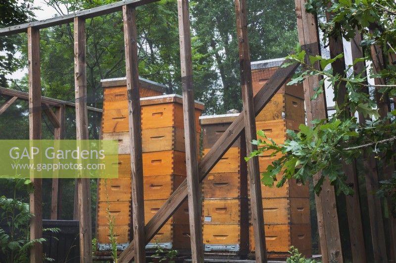 Beehives under lock and key in enclosure protected by black netting in summer.