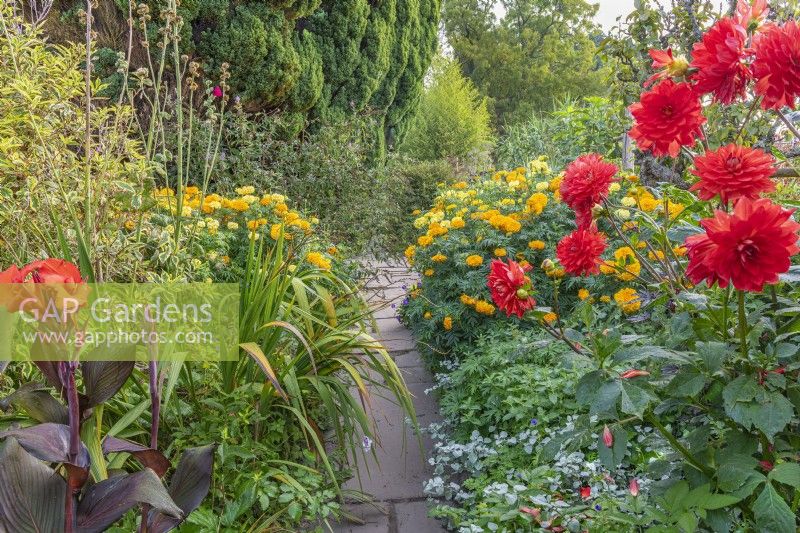 View of mixed borders either side of a flagstone path in late Summer - September