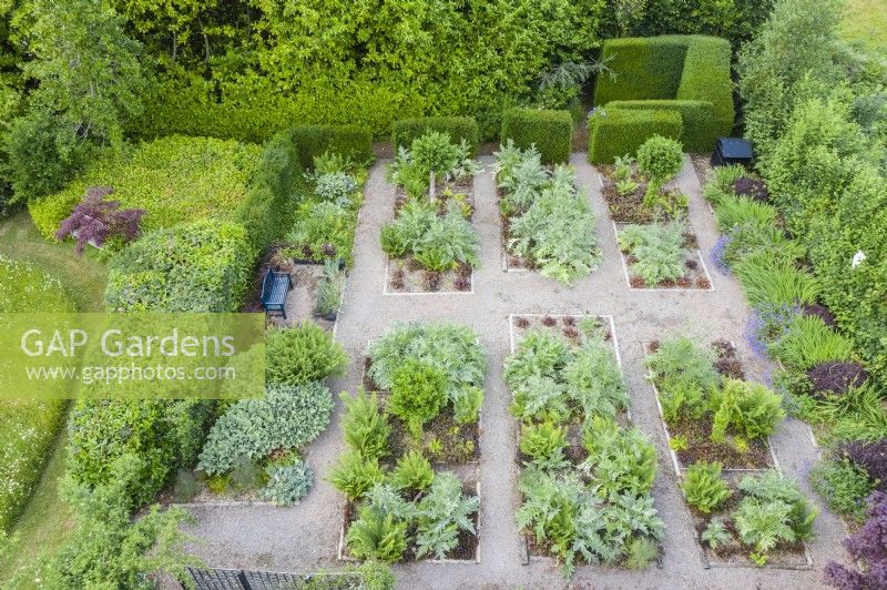 View over formal garden adjacent to meadow with gravel paths and rectangular beds containing Cynara cardunculus and Heuchera backed by hedges of Yew. June. Summer. Image taken with drone. Cardoons

