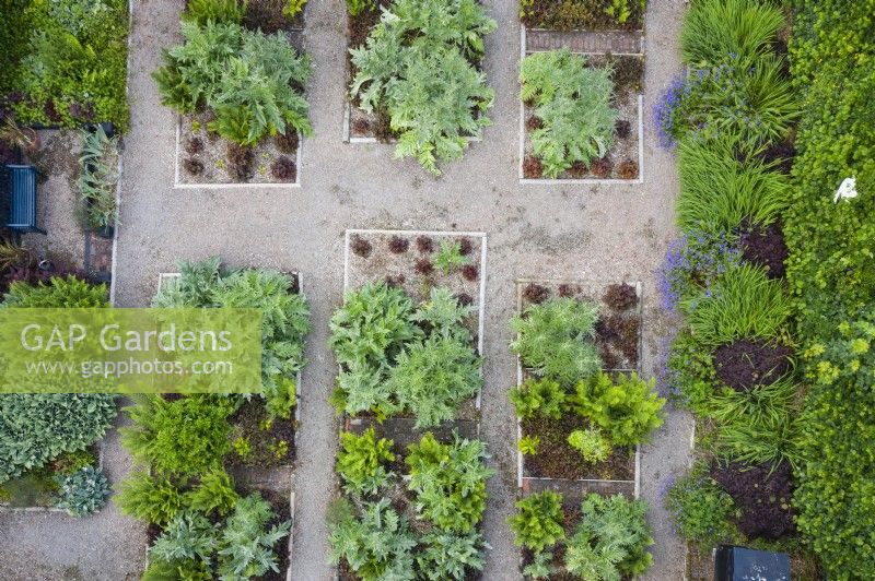 View over formal garden  with gravel paths and rectangular beds containing Cynara cardunculus and Heuchera. June. Summer. Image taken with drone. 