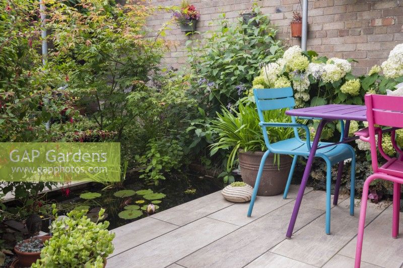 Small rectangular pool with waterlilies set within patio area with containers of Agapanthus and succulent and colourful table and chairs, Plants inc: Hydrangea 