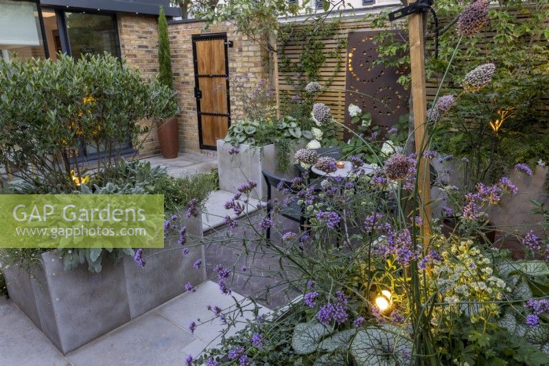 Looking across Verbena bonariensis in courtyard garden at dusk with raised beds and contemporary wood boundary fence with lighting