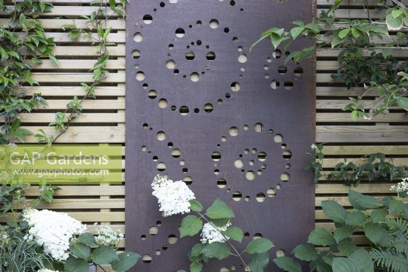 Metal screen with circular and spiral design attached to a contemporary wood boundary fence, white-flowered hydrangea in foreground