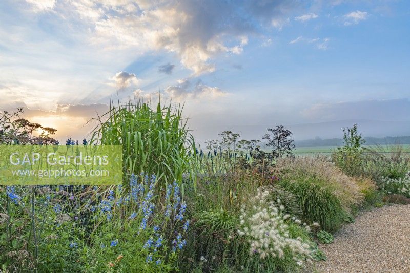 View of mixed perennials and ornamental grasses flowering in a narrow border in an informal country cottage garden in Autumn - September