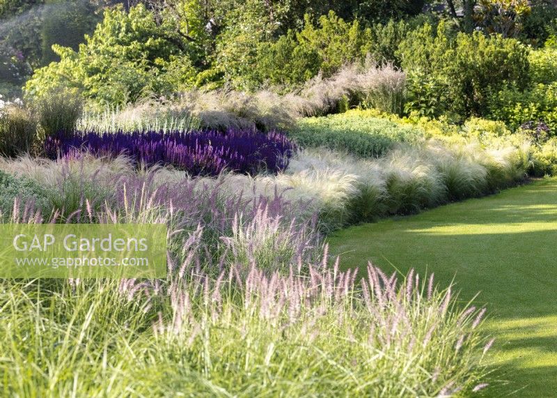Garden design with ornamental grasses and perennials, summer August