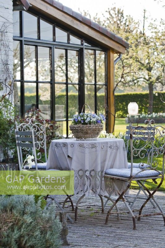Metal white garden furniture decorated with tablecloth and metal trug planted with Violas.